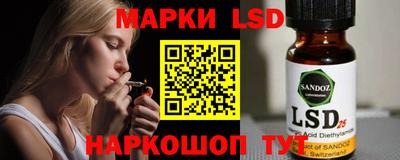 PSILOCYBIN Гатчина