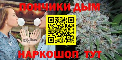 индика Гагарин