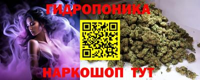 сатива Гай