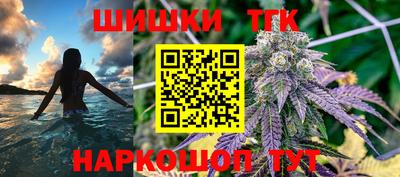 индика Гагарин