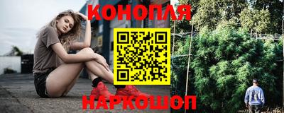 индика Гагарин