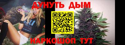сатива Гай