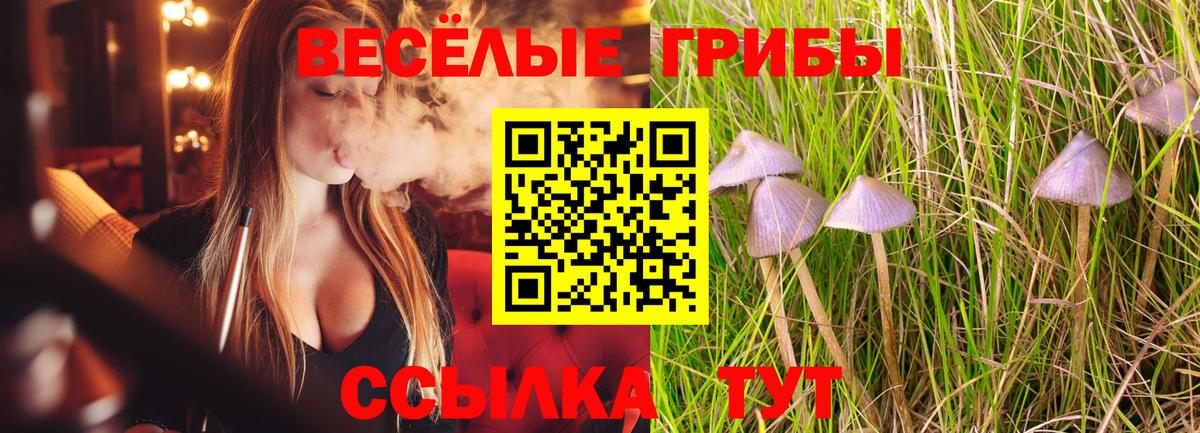Псилоцибиновые грибы GOLDEN TEACHER Валуйки